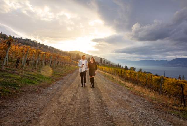 Couple_in_Vineyard_during_Fall_at_CedarCreek_Estate_Winery_1_
