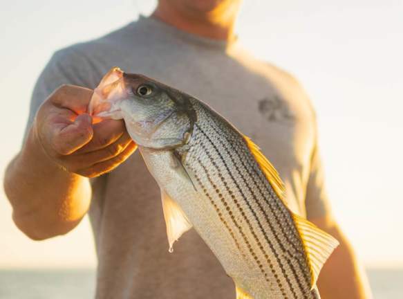 Fishing