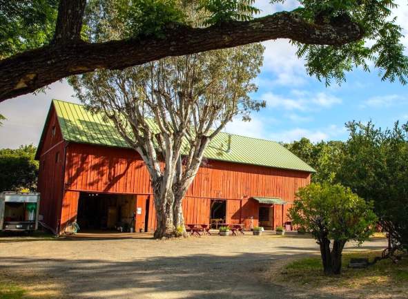 OakHillFarm_SonomaValley