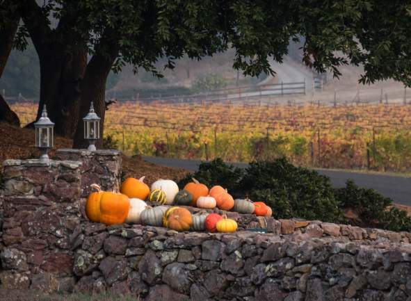 Best Ways to Enjoy Fall in Sonoma Valley