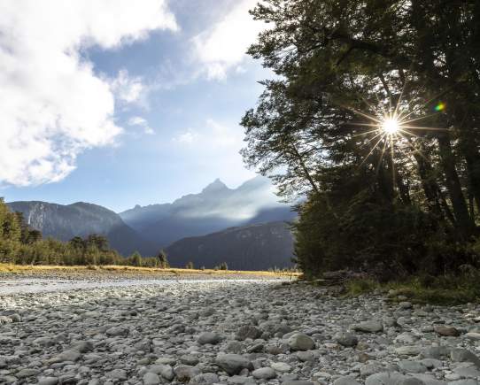 Explore Te Wāhipounamu UNESCO Heritage Area near Glenorchy