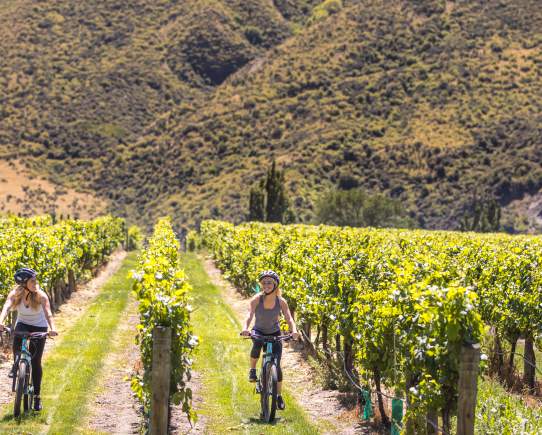 Bike the Wineries in Gibbston