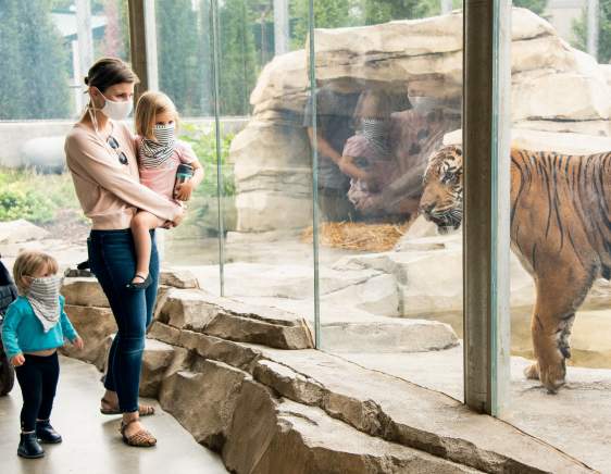 Lincoln Zoo
