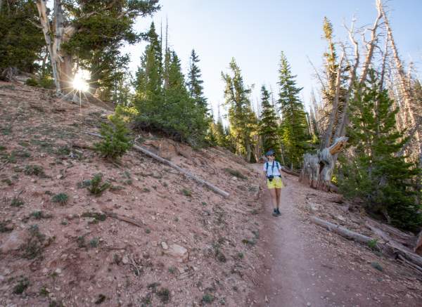 Hiking the Alpine Pond Trail - Cedar Breaks