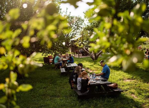 Sweet Pea Farm & Orchard