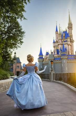 Magic Kingdom Castle Disney