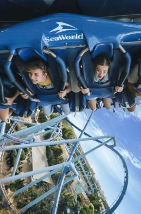 Action shot of a family of four riding on Manta Roller Coaster in SeaWorld