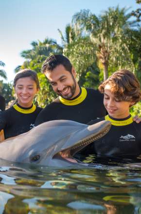 Uma família conhecendo um golfinho no Discovery Cove