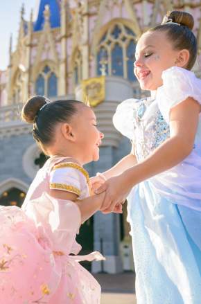 Magic Kingdom Castle Disney