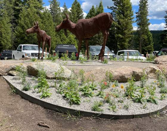 Pollinator Garden