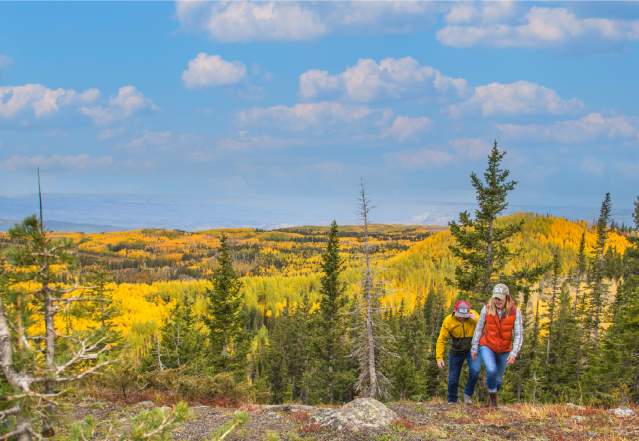 Two people hiking in the fall on the Grand Mesa