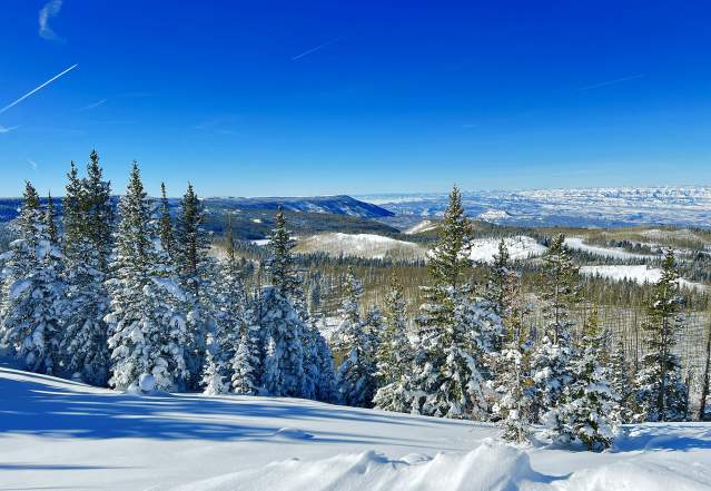 Grand Mesa in the Winter