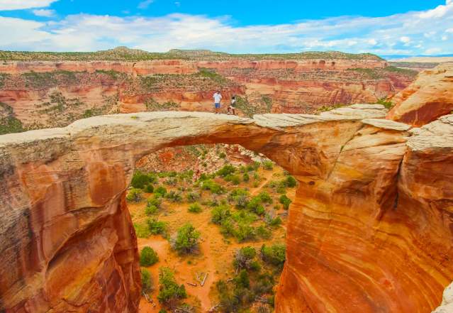 Rattlesnake Canyon Arches