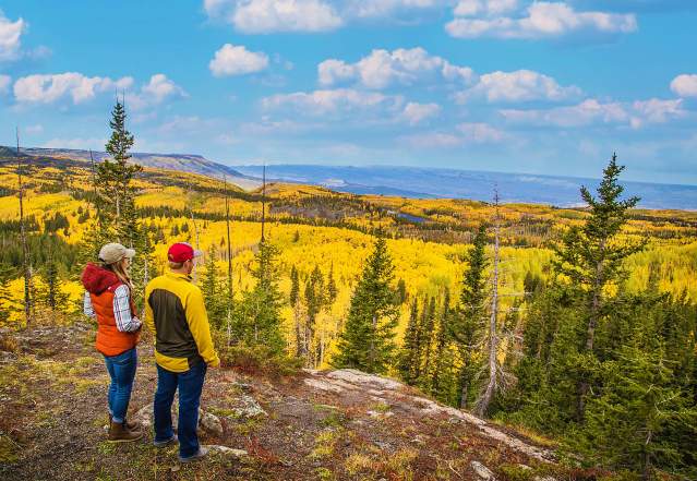A Male and A Female Look out at the Fall Colors on the Grand Mesa