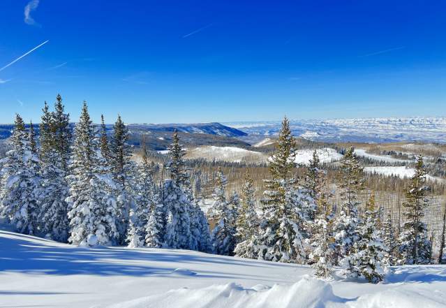 Scenic view of snow covered trees and the plateau of the Grand Mesa