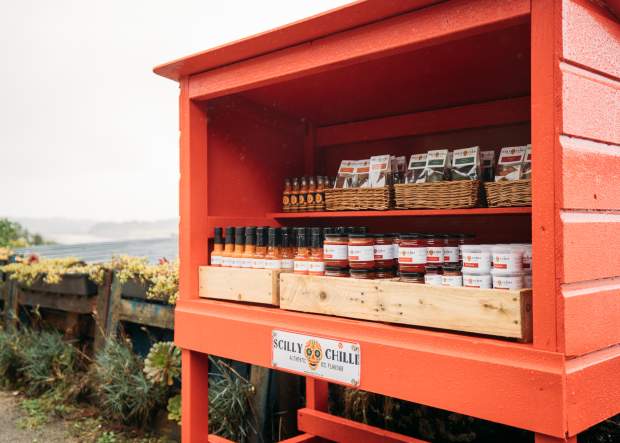 Honesty Stall at Hillside Farm on Bryher