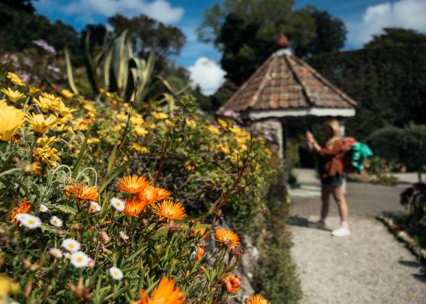 Aisles of flowers in front of the gazebo at Tresco Abbey Garden