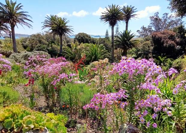 Tresco Abbey Garden