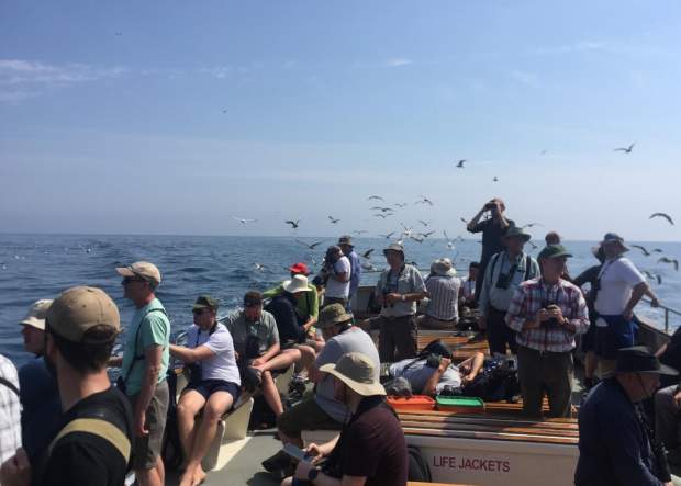 birders on a sea safari