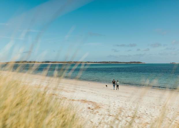 Couple in Autumn, walking on a beach