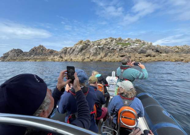 Scilly Sea Safaris