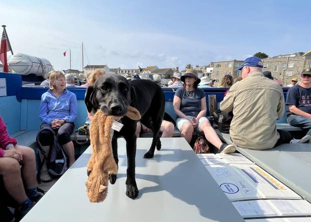 Island hopping with your dog
