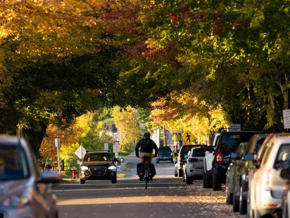 Lake Street in the Fall