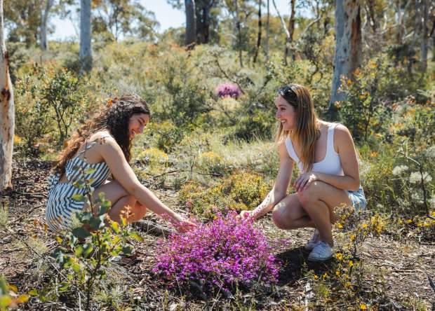 Two girls amongst wildflowers near Toodyay in the Avon Valley