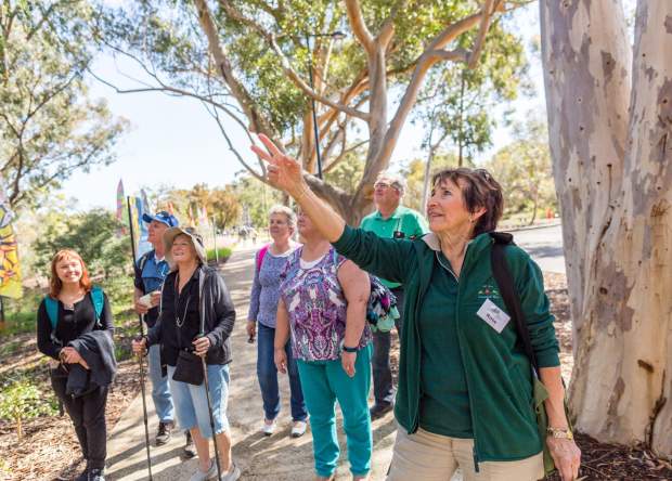 Group on a guided walking through Kings Park