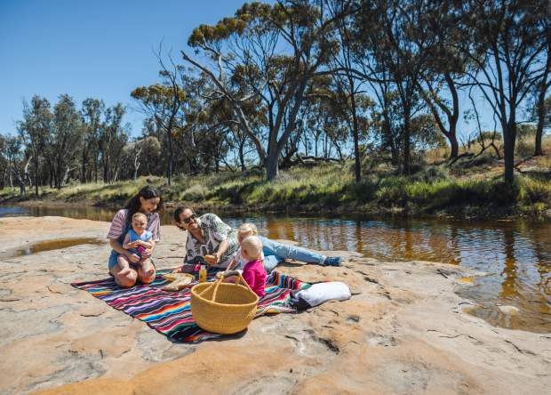 Family picnic near Goomalling, Avon Valley