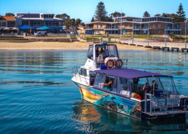 Catalpa Charters Rockingham