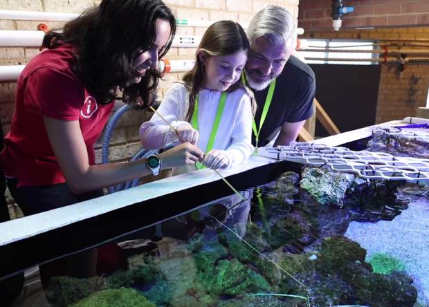 Group of kids and two parents looking at viewing pool in an aquarium.