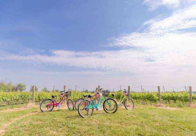Bikes