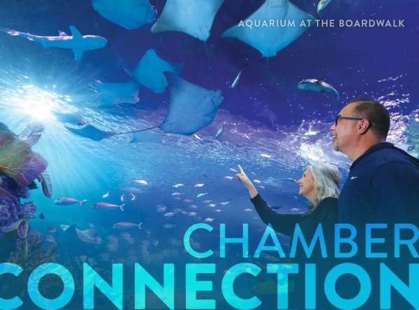Chamber Newsletter: Jan. 15, 2026