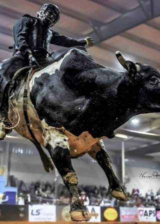 A professional bull rider rides a bucking bull in a full arena during a rodeo.
