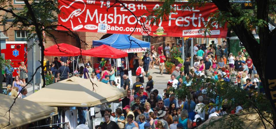 Mushroom Festival