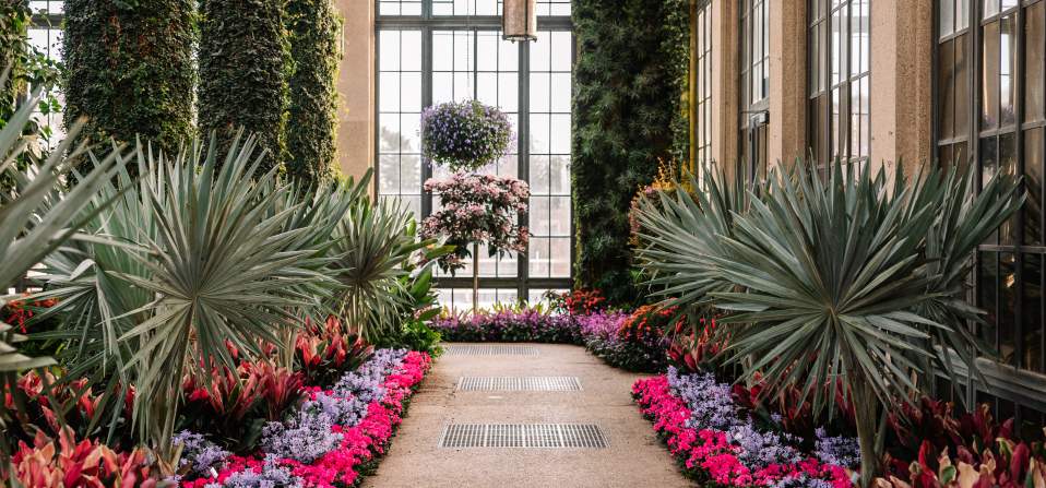 Winter Wonder Conservatory 2024