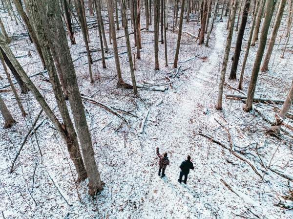winter forest trail