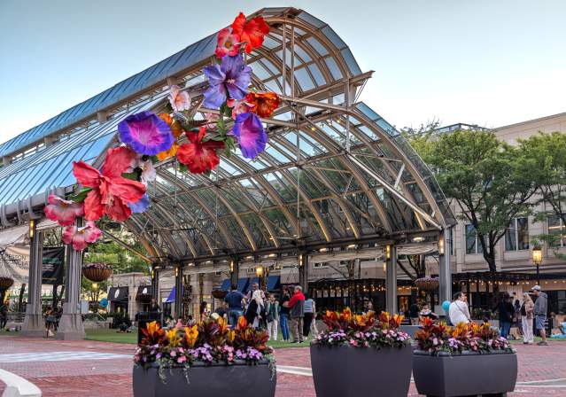 Reston Town Center- 2024 - April Greer for Visit Fairfax