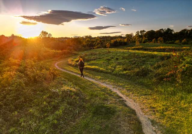 Woman Hiking Up a Hill During Sunset at Laurel Hill Mountain Bike Trails.