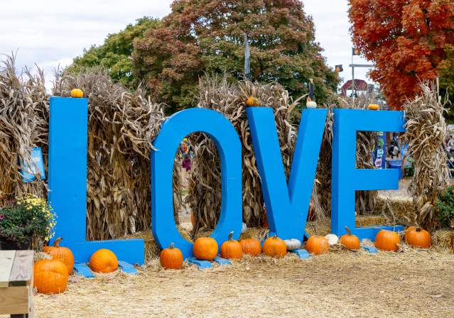 Fall Festivals - Cox Farms - LOVE sign - Centreville