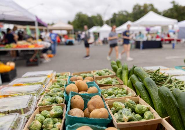 Burke Farmers Market - 2023 - Fall