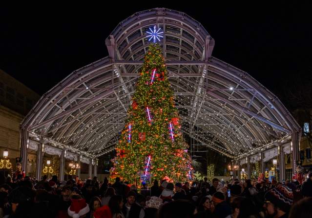 Christmas Tree in Reston Town Center - Holidays - Tree Lighting Ceremony - 2023