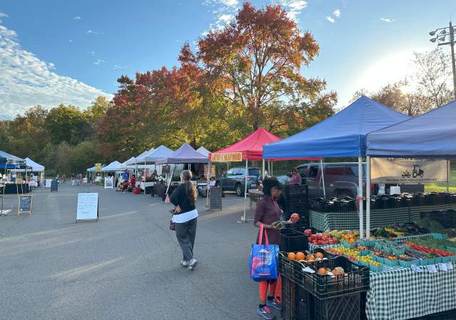 Wakefield Farmers Market- Fall