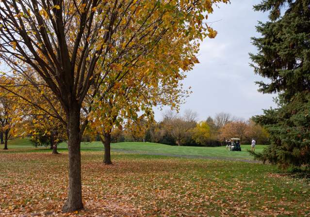 Herndon - Golf Course - Fall