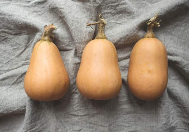 Three butternut squashes laying besides one another against a grey cloth backdrop