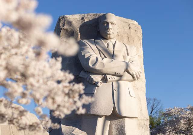 Martin Luther King Memorial Statute - Spring - Cherry Blossom - April Greer