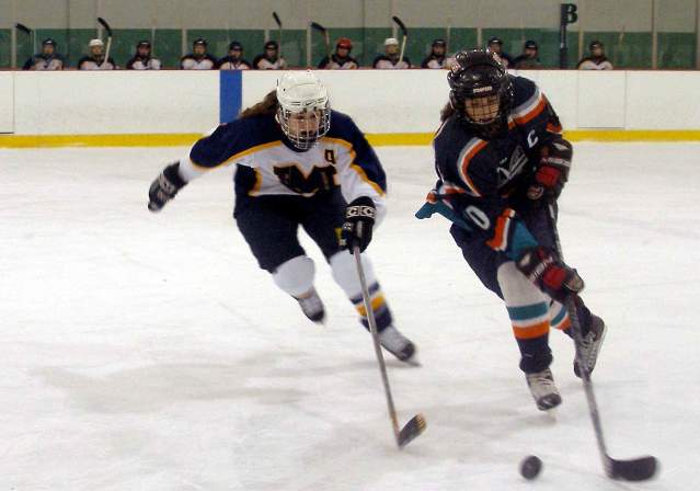 Hockey - Why Fairfax County Header