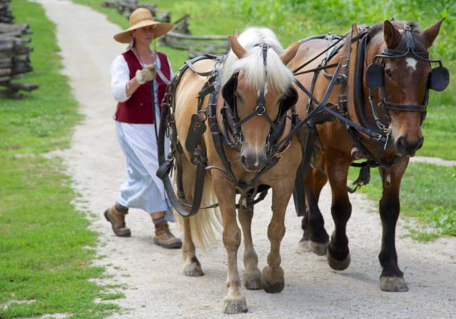 George Washington's Mount Vernon