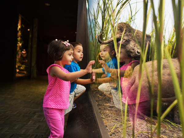 kids lean against exhibit glass
